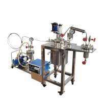 Pressure Reactor with Condensing System &amp; Vacuum Pump