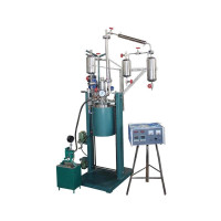 Vacuum High Pressure Reaction System LEVHPRS