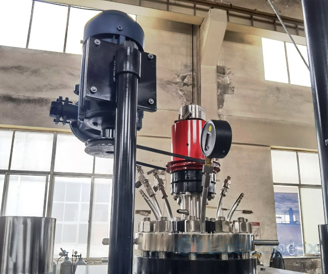 Customizable Lab Scale Autoclave Reactor LECLSAR Customizable Lab Scale Autoclave Reactor LECLSAR
