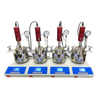 Laboratory Bench Top Continuous Stirred Tank Reactor LELBTCSTR Laboratory Bench Top Continuous Stirred Tank Reactor LELBTCSTR