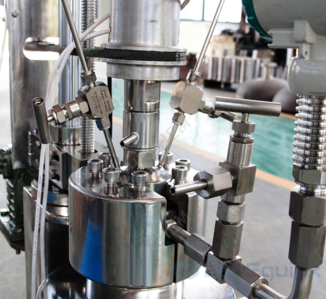 Miniature Mechanical Stirring High Pressure Reactor LEMMSHPR