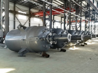 Sorbitol and Xylitol Pressure Reactor LESXPR Sorbitol and Xylitol Pressure Reactor LESXPR