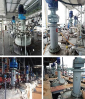 Sorbitol and Xylitol Pressure Reactor LESXPR Sorbitol and Xylitol Pressure Reactor LESXPR