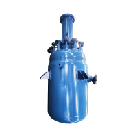 Industrial Gas Induction Hydrogenation Pressure Reactor