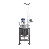 Manual Lifting Customized Laboratory High Pressure Catalytic Reactor LEMLCLHPCR