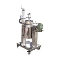 High Pressure Reactor with Head Lift & Vessel Rotate LEHPRHLVR