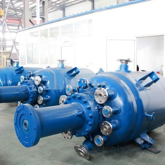 High Pressure Hydrogenation Reactor LEHPHR