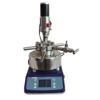 Mini Stirred High Pressure Laboratory Autoclave Reactor LEMSHPLAR