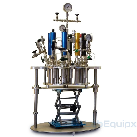 Multicell-Plus Parallel High Pressure Reactor LEMPPHPR