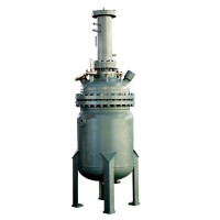 Vertical Stirred Pressure Reactors