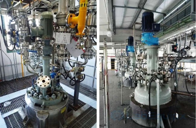 Vertical Stirred Pressure Reactors LEVSPR