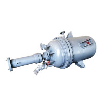 Elliptical Top Entry Pressure Reactor Autoclave Vessels with Agitator
