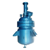 Pilot Scale Polymerization Reactor for Viscous Polymer