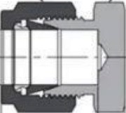 Double Ferrules Tube Union Caps